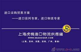 專業(yè)護(hù)航，高效通關(guān) 上海進(jìn)口報(bào)關(guān)代理服務(wù)全解析